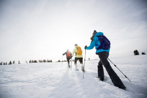 Four people snowshoeing through a snowy landscape under a bright sky, with trees in the background.