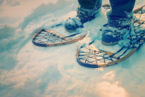 A close-up of snowshoes on a snowy surface, with snow covering the shoes and ground.