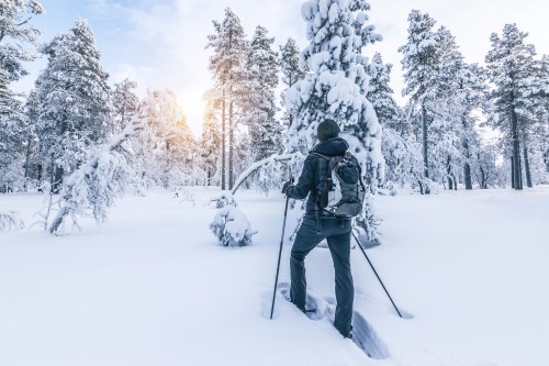 A person hiking through a snowy forest, surrounded by tall trees and a soft sunrise in the background.