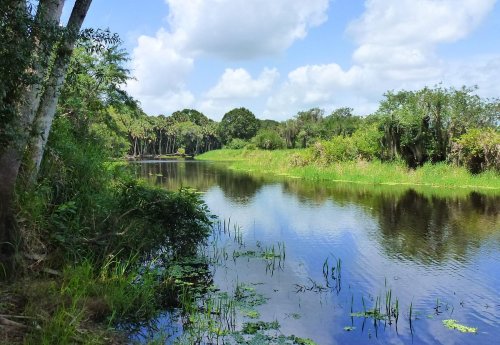 A serene river scene surrounded by lush greenery and trees under a partly cloudy sky.