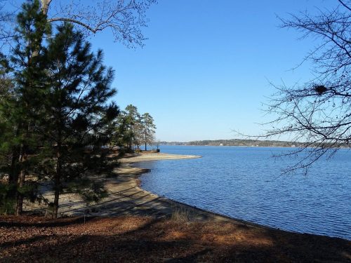 A serene lakeside view with trees lining the shore and clear blue skies reflecting on the water.