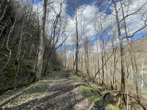 A winding dirt path through a forest of bare trees under a partly cloudy sky.