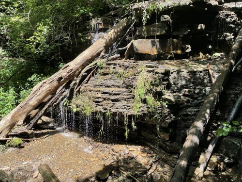 A serene waterfall cascading over rocky terrain, surrounded by lush greenery and fallen logs in a forested area.