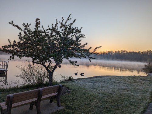 A serene lakeside scene at dawn, featuring a tree, a bench, and ducks on the water with mist rising in the background.