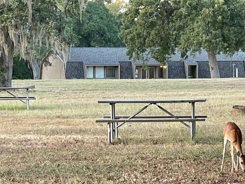 A grassy area with picnic tables and a deer grazing, set against a building surrounded by trees.