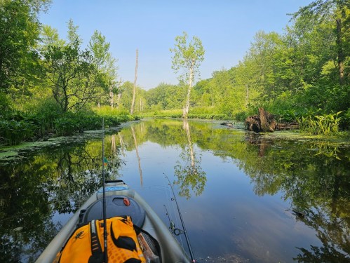 A peaceful kayak on a calm, reflective waterway surrounded by lush greenery and trees. Fishing gear is visible in the kayak.