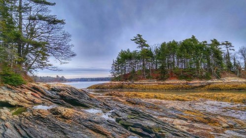 Rocky shoreline with trees and calm water under a cloudy sky, creating a serene coastal landscape.