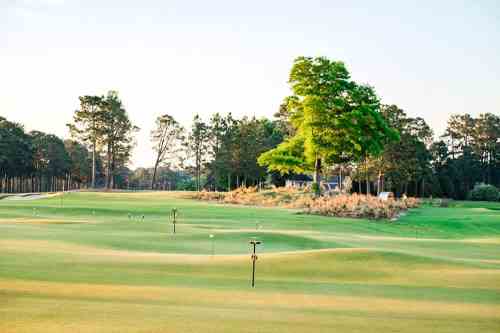 A serene golf course at sunset, featuring rolling green hills, scattered trees, and a peaceful atmosphere.