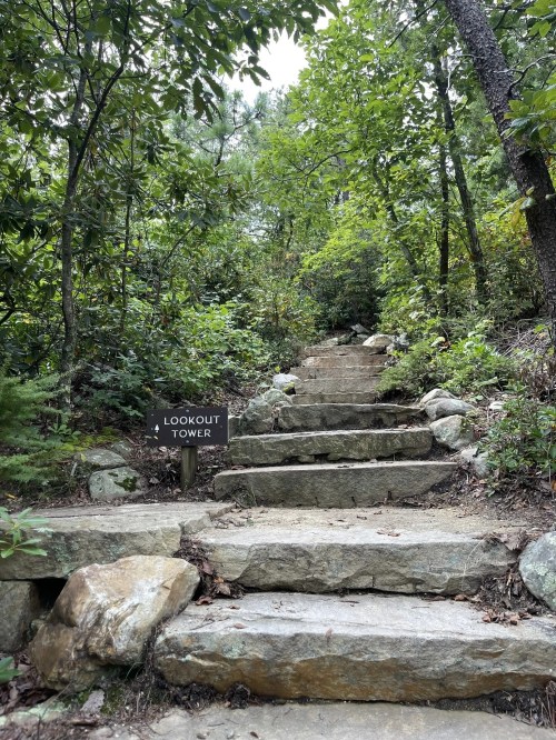 Stone steps lead up through a lush green forest to a sign for a lookout tower.