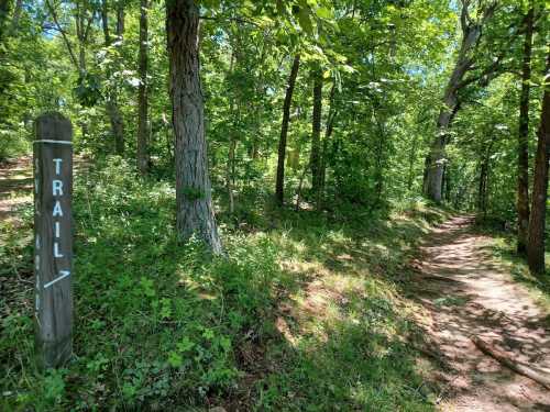 A wooded trail with a signpost indicating "Trail" and an arrow pointing to the right, surrounded by lush greenery.