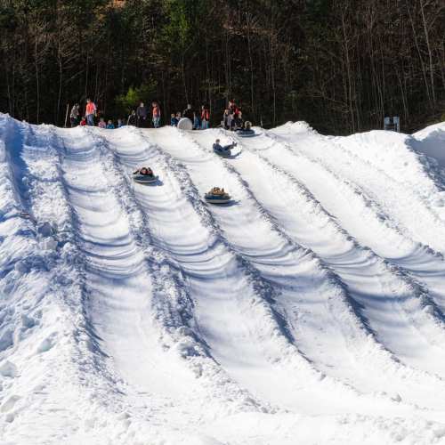 People sledding down snowy hills on a bright day, surrounded by trees and a crowd enjoying winter activities.