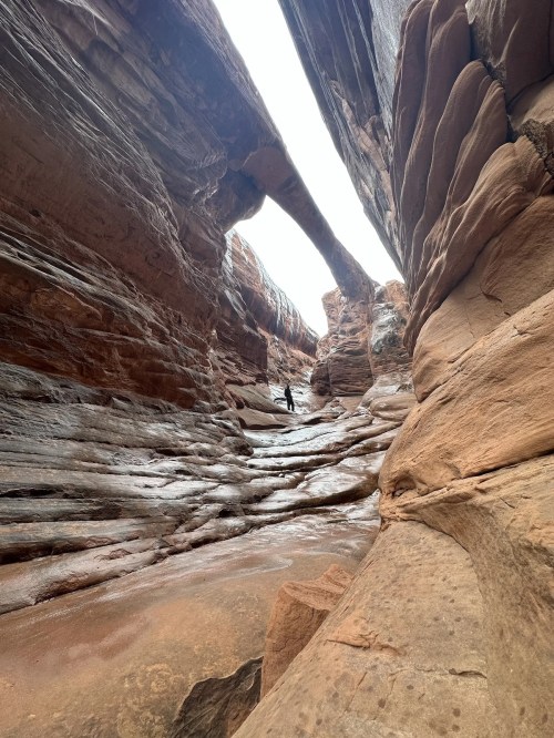 A narrow canyon with towering rock formations and a person standing at the base, illuminated by natural light above.