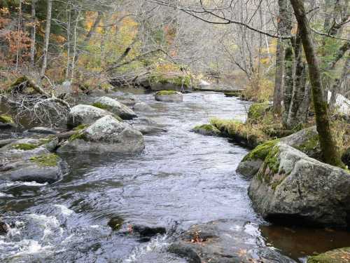 A serene stream flows through a rocky landscape, surrounded by trees and autumn foliage.