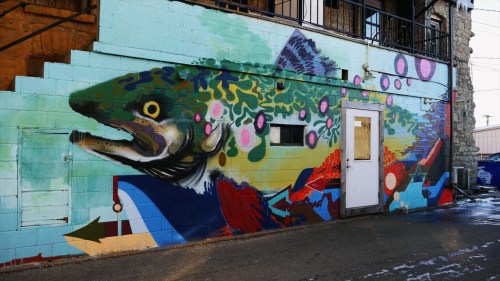 Colorful mural of a large fish with vibrant patterns and abstract shapes on a building wall.