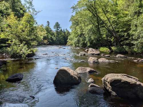 A serene river flows through a lush green landscape, with large rocks scattered along the water's edge.