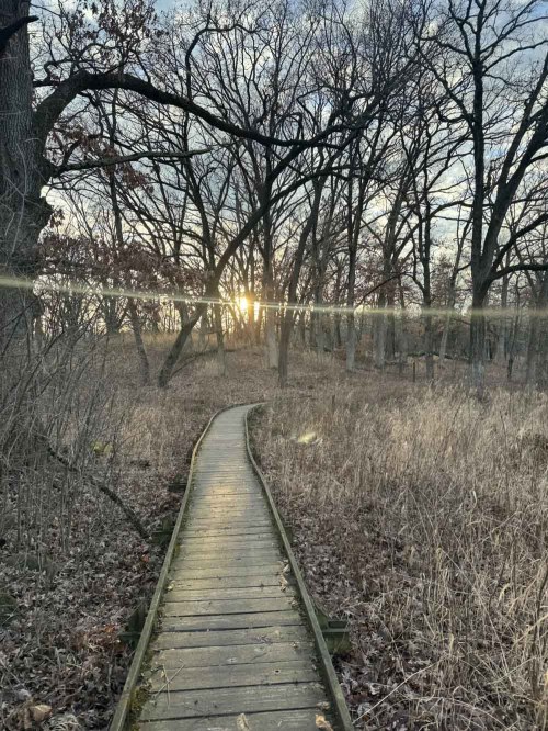 A wooden path winds through a grassy area with bare trees, leading towards a sunset in the distance.