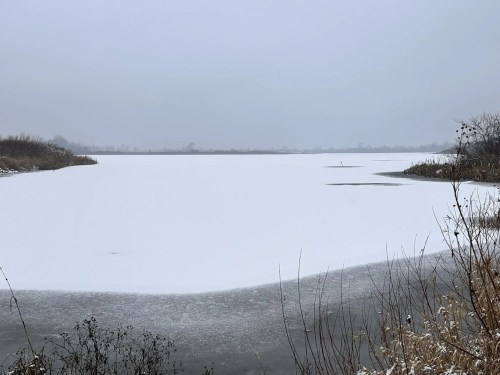 A snowy landscape over a frozen lake, with gray skies and sparse vegetation along the shoreline.