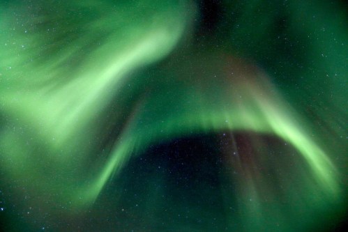 A vibrant display of the northern lights with swirling green hues against a starry night sky.
