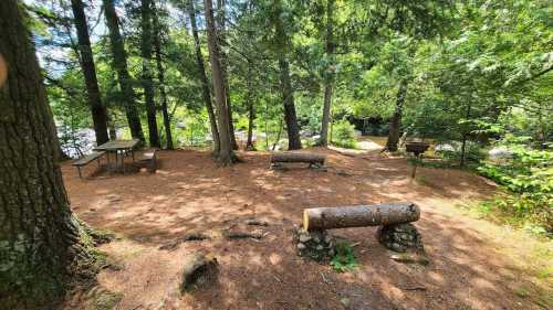 A serene forest clearing with picnic tables, logs for seating, and a grill, surrounded by tall trees and greenery.