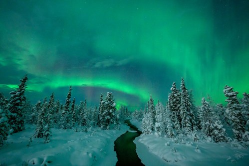 A serene winter landscape with a winding river, surrounded by snow-covered trees under vibrant green auroras.