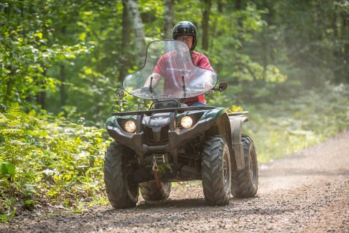 A person riding an ATV on a dirt trail surrounded by lush greenery in a forested area.