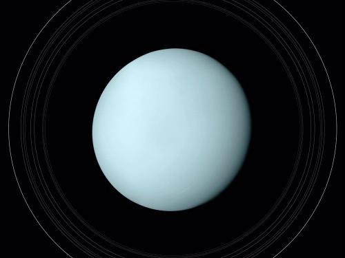 A close-up view of Uranus, showcasing its pale blue color against a black background with faint rings.