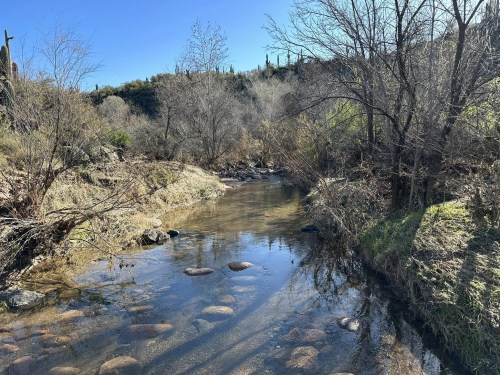 A serene stream flows through a rocky landscape, surrounded by bare trees and lush greenery under a clear blue sky.