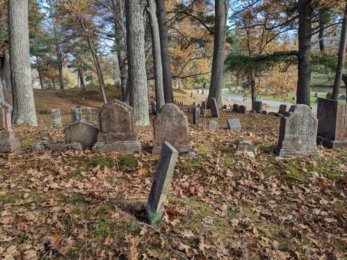 A serene cemetery scene with weathered gravestones surrounded by autumn leaves and tall trees.