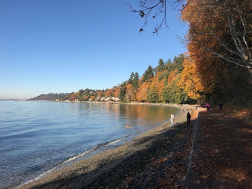 A serene shoreline with autumn trees, calm water, and people walking along the beach on a clear day.