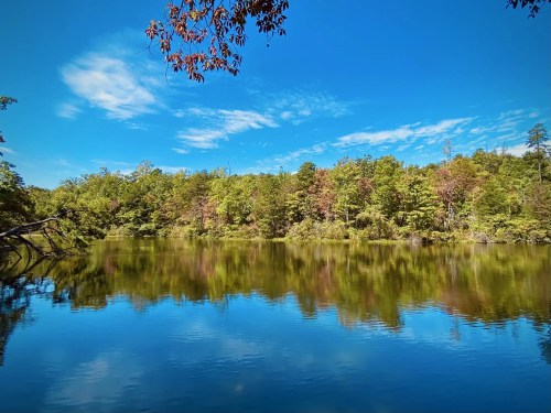 A serene lake surrounded by lush green trees under a clear blue sky, reflecting the landscape in calm waters.