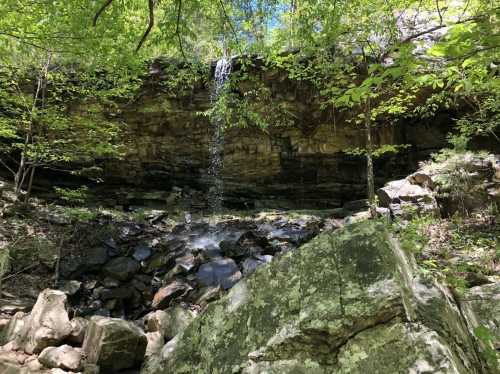 A serene waterfall cascades over rocky cliffs, surrounded by lush green foliage and sunlight filtering through the trees.