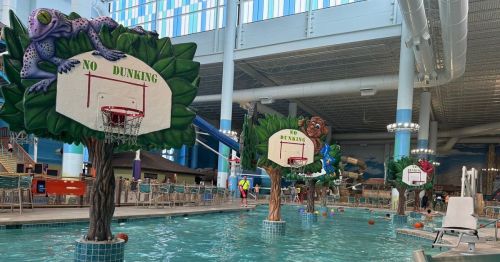 Indoor water park featuring basketball hoops on trees, with a pool and colorful decorations. No dunking signs visible.