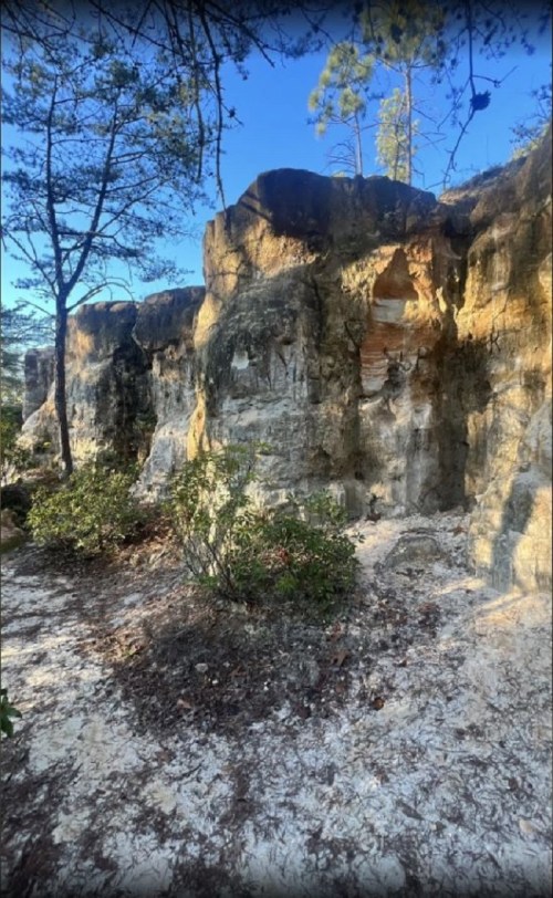 Rocky cliffside surrounded by trees and shrubs under a clear blue sky.