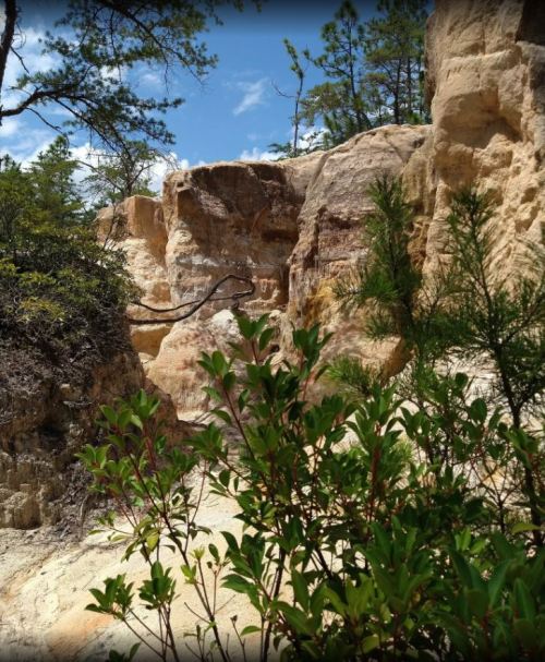 Rocky cliffs surrounded by greenery under a blue sky with scattered clouds.