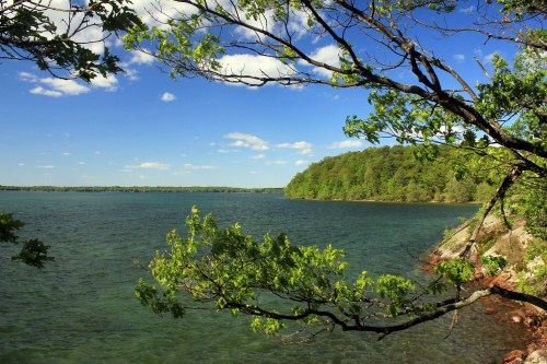 A serene lake view framed by green trees under a bright blue sky with scattered clouds.