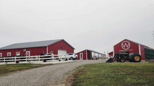A red barn and farm buildings on a gravel driveway, with a tractor parked nearby under a cloudy sky.