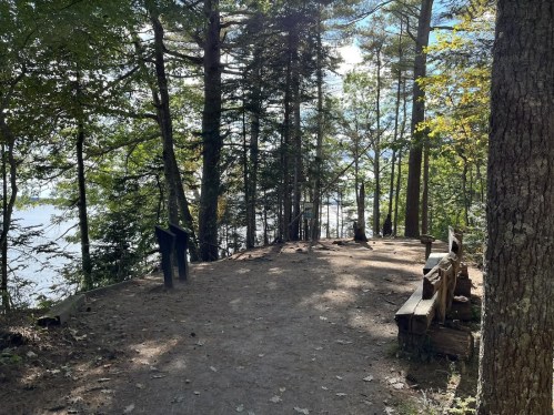 A serene forest path with benches, surrounded by trees and a glimpse of water in the background.