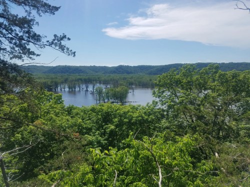 A scenic view of a river surrounded by lush green trees and hills under a clear blue sky.