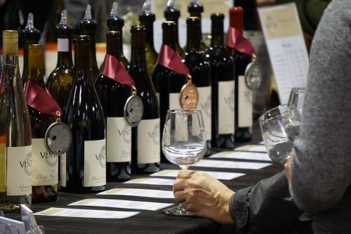 A selection of wine bottles with labels and medals, alongside a hand holding a wine glass at a tasting event.