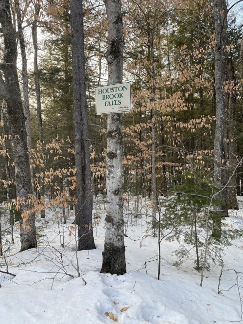 A sign reading "Houston Brook Falls" on a tree in a snowy forest with sparse leaves on surrounding trees.