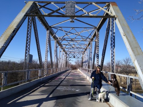 A person walks two dogs on a metal bridge under a clear blue sky.
