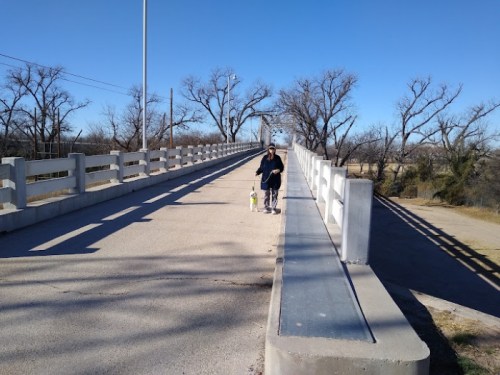 A person walks on a wide bridge surrounded by bare trees under a clear blue sky.