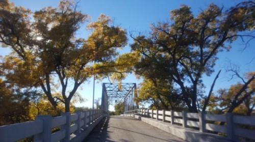 A scenic view of a bridge surrounded by trees with autumn foliage under a clear blue sky.