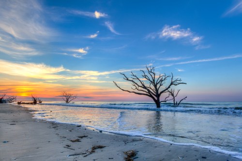 Silhouetted dead trees on a beach at sunset, with gentle waves and a colorful sky.