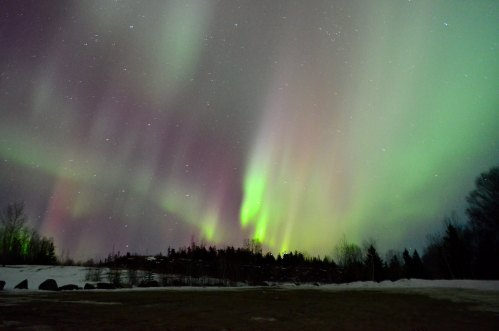 A vibrant display of the northern lights illuminates the night sky over a snowy landscape and dark trees.