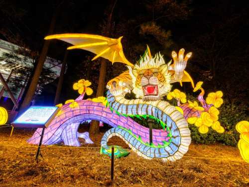 A colorful illuminated dragon sculpture surrounded by flowers, glowing against a dark night sky.