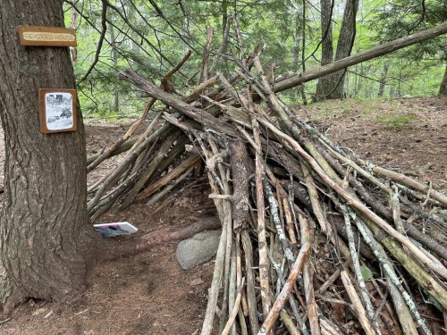 A rustic shelter made of sticks and branches, nestled against a tree in a forested area. A sign is visible nearby.
