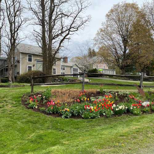 A garden with colorful tulips in bloom, surrounded by trees and houses in a serene landscape.