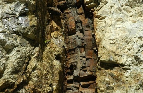Close-up of a weathered rock formation with a prominent, dark, textured log embedded in lighter stone.
