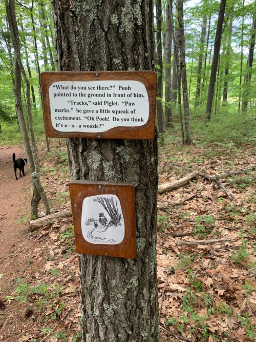 A tree trunk with two signs: one with a quote from Winnie the Pooh and another featuring a drawing of Pooh.